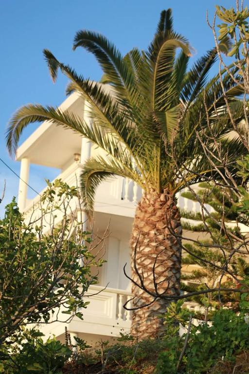 Villa Irini Almirida Exterior foto