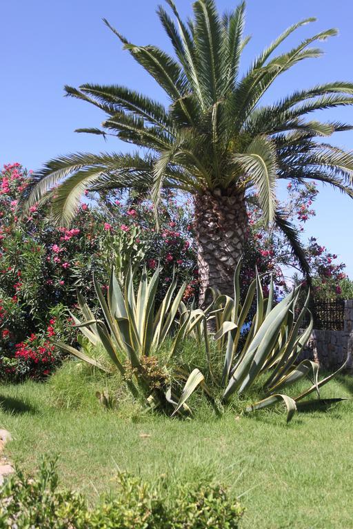 Villa Irini Almirida Exterior foto
